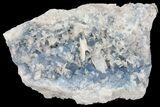 Blue, Cubic Fluorite Crystal Cluster - New Mexico #100982-1
